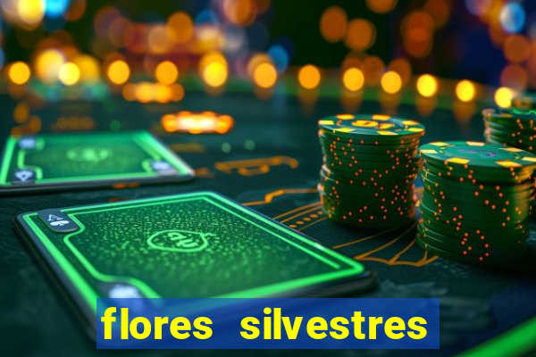 flores silvestres desbravadores desbravadores 25